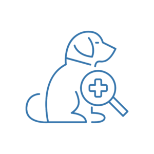 Icona di un cane osservato attraverso una lente d'ingrandimento con croce medica, simbolo della dermatologia veterinaria.