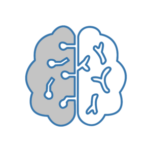 Icona di un cervello stilizzato con connessioni neurologiche, rappresentante la specializzazione in neurologia veterinaria.