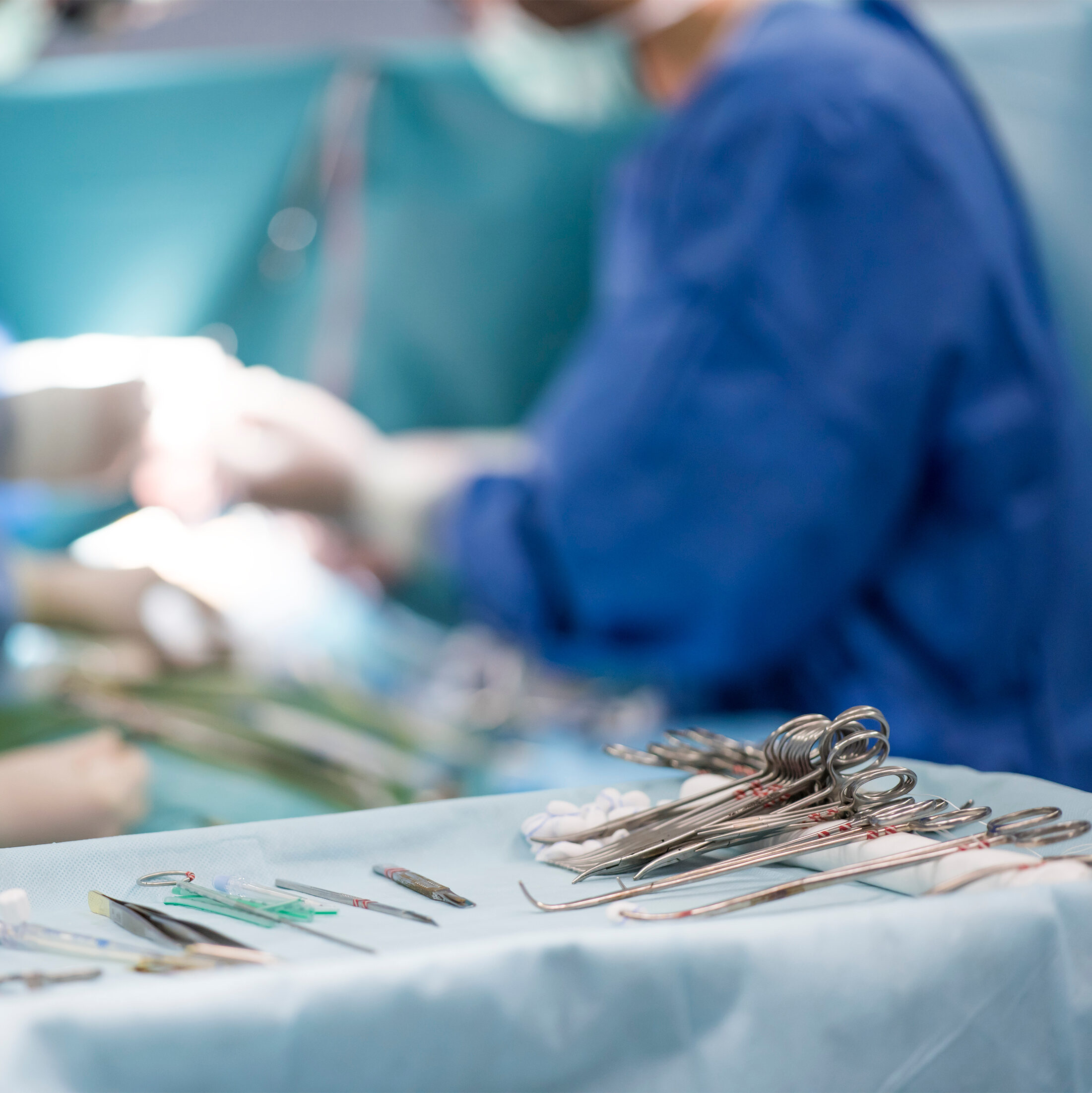 Strumentazione utilizzata durante un intervento veterinario presso l'Ospedale Veterinario Santa Lucia a Verona