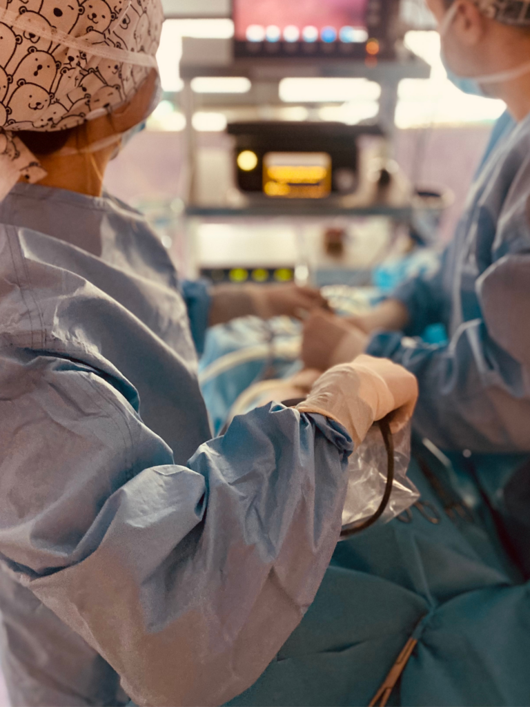 Team chirurgico veterinario dell'Ospedale Veterinario Santa Lucia a Verona durante un intervento di gastropessi