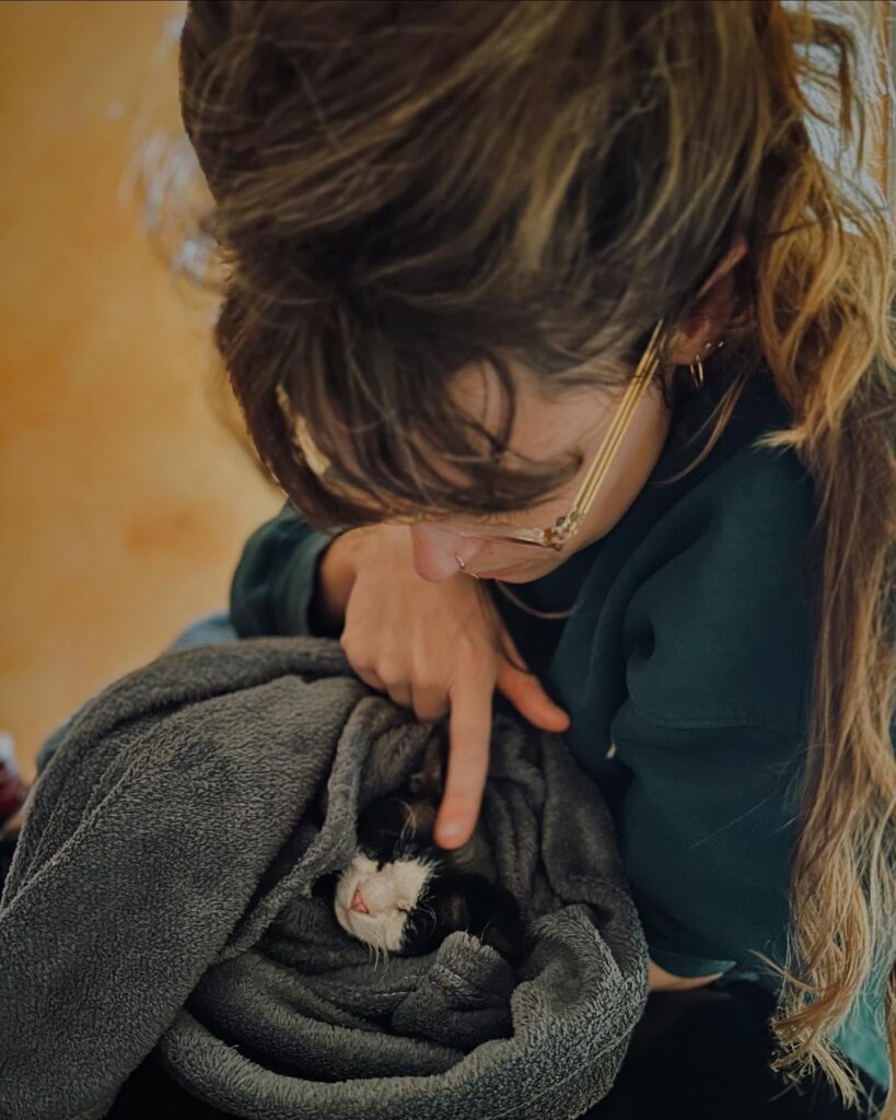 Un medico veterinario dell'Ospedale Santa Lucia che si prende cura di un gattino bianco e nero avvolto in una coperta grigia.