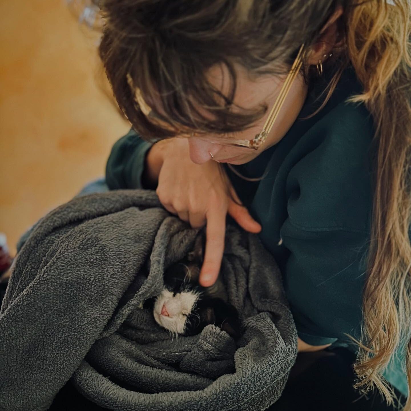 Un medico veterinario dell'Ospedale Santa Lucia che si prende cura di un gattino bianco e nero avvolto in una coperta grigia.