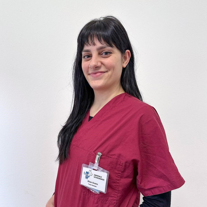 Elisa Scano Elisa Scano, tecnico veterinario dell'Ospedale Veterinario Santa Lucia a Verona